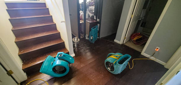 Best Water damage repair service  in Bloomfield, NM