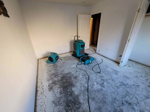  Bloomfield, NM Water damage restoration Pros