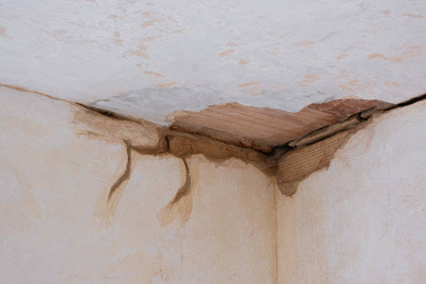 Best Residential water damage restoration  in Bloomfield, NM