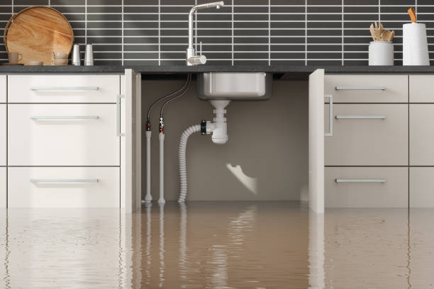 Best Basement water damage restoration  in Bloomfield, NM