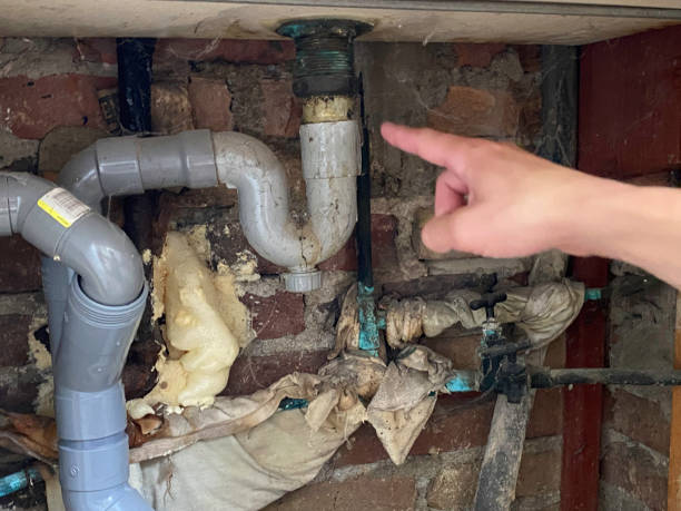Best Mold removal after water damage  in Bloomfield, NM